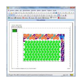 Reporte Detalle de Patrones de Corte